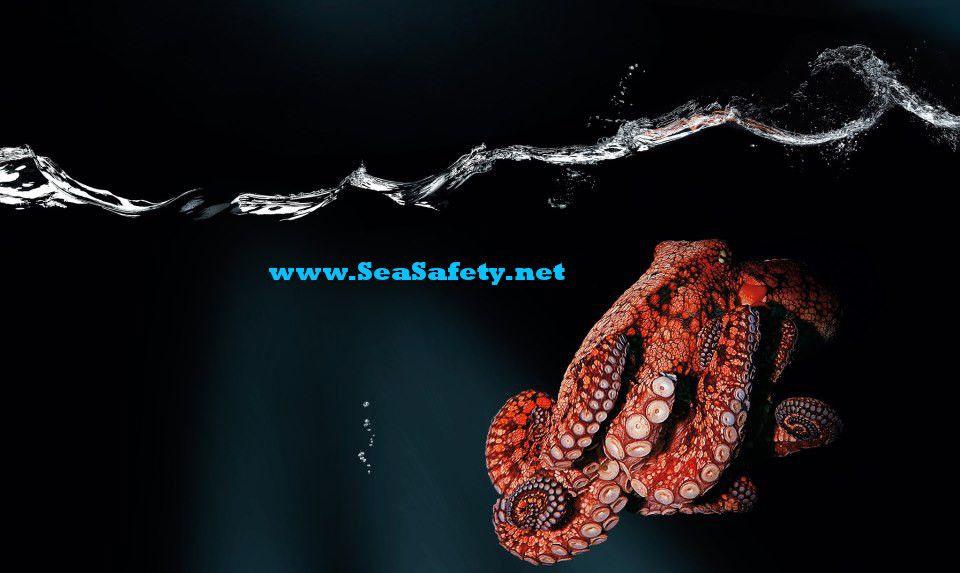 Oy Sea Safety Scandinavia Ltd